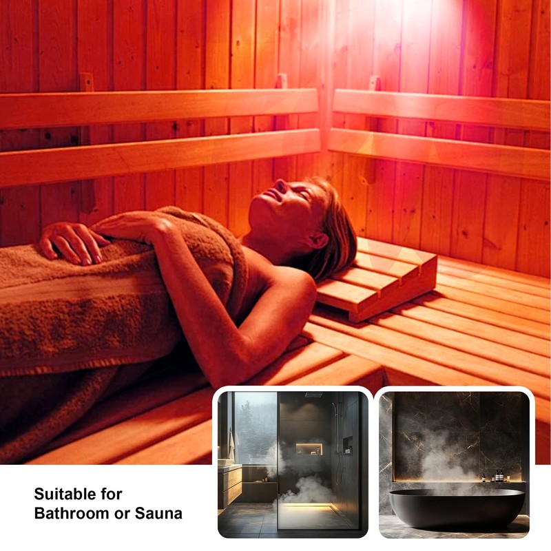 Zenhagu 250W R40 Red Heat Lamp Bulbs (4-Pack), Infrared Heat