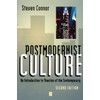 Postmodernist Culture: An Introduction to Theories of the Contemporary