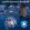 Super Bright LED Dog Collar - Fully Waterproof & Adjustable