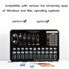MadHornets V10 Live Sound Card & M800 Condenser Microphone for