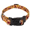 Country Brook Design 5/8 Inch Adjustable Dog Collar for Small,