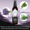 Lumi Outdoors Natural Shoe Deodorizer Spray 3 Pack Bundle -