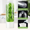 Giyochie Fresh Herb Saver Cilantro Storage Containers for Refrigerator, Transparent