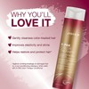 Joico K-Pak Color Therapy Shampoo & Conditioner (10.1 Oz)