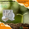 Ecokanta 100% Compostable 6-Compartment Dinner Plates - Eco-Friendly, Biodegradable Sugarcane