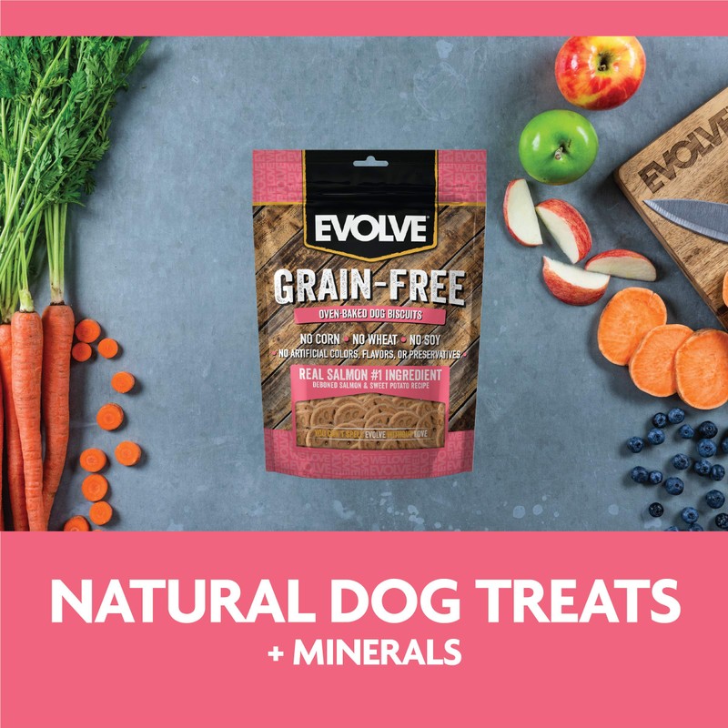 Evolve Grain Free Deboned Salmon and Chickpea Dog Biscuits