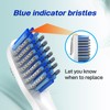 Toothbrush Heads Replacement Compatible with Bitvae D2 Electric Toothbrush, 10
