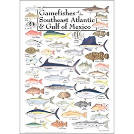 Earth Sky + Water - Gamefishes of Southeast Atlantic & Gulf of Mexico