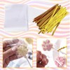 Cake Pop Kit, 100 Cake Pop Sticks, 100 Cake Pop
