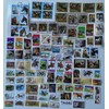 100 Different Horse Stamps Collection (Stamps for Collectors)