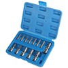 CPROSP 13-piece Allen nut set, 1/2 inch, 3/8 inch, 1/4