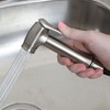 Danco 10332 Transitional Kitchen Sink Side Spray, Brushed Nickel