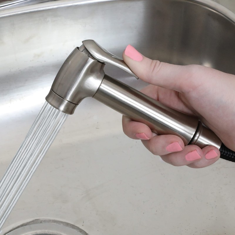 Danco 10332 Transitional Kitchen Sink Side Spray, Brushed Nickel