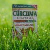 Cúrcuma Compuesta Anti Flamatorio 60 Tabletas Pack 3 Sin Sabor