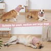 Meifsou Calming Hoodie for Dogs - Stretchy Dog Ear Cover,
