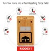 RIDDEX Plus Insect Control- Plug in, Mouse Deterrent - Pest