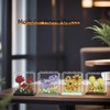 ZvveIIa Flower in A Box-DIY Building Blocks for Adults, Eternal