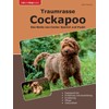 Traumrasse Cockapoo: Das Beste aus Cocker Spaniel und Pudel