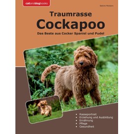 Traumrasse Cockapoo: Das Beste aus Cocker Spaniel und Pudel