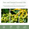 PHATOIL Essential Oil Ylang Ylang 100ml Aroma Oil Essential Oil