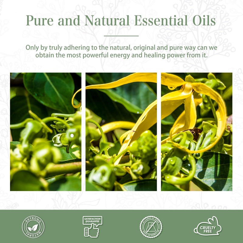 PHATOIL Essential Oil Ylang Ylang 100ml Aroma Oil Essential Oil