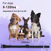 3 Pack Collar Replacement Strap, Durable Adjustable Dog Collar Replace