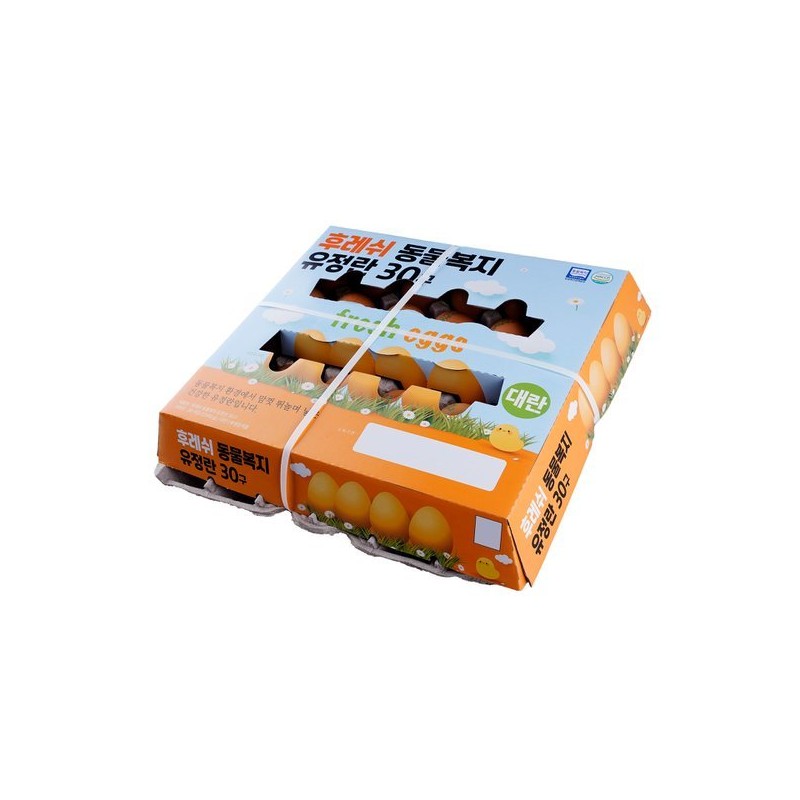 후레쉬 동물복지 유정란 30개입 (대란 1560g) Fresh Animal Welfare Organic