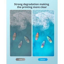 Printer Cleaning Kit | Printhead Cleaning Kit | for Inkjet Printers HP/Brother/Epson/Canon WF-7710 WF-3640 7620 8600 8610 8620 WF-2750 WF-2650 ET-2750 ET-2650 C88 Liquid Printers Nozzle（100ml）