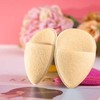 JQ Skin care cosmetics cleansing sponge facial washing pores micro / 피부 미용 화장품 클렌징 스펀지 세안 모공 미세