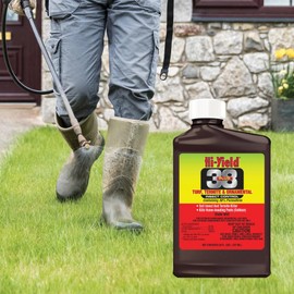 Hi-Yield (31330) 38 Plus Turf Termite and Ornamental Insect Control (8 oz)