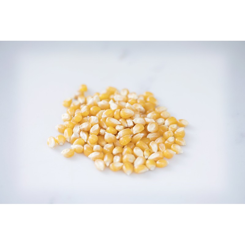 Amish Country Popcorn | 25 lb Bag | Medium Yellow