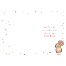 Words 'n' Wishes Special Mum Birthday Card - Happy Birthday Card with a Hedgehog and Flowers Design and Foil Details - Birthday Card for Women
