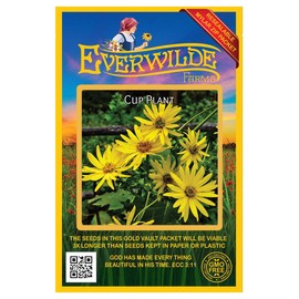 Everwilde Farms - 75 Cup Plant Native Wildflower Seeds - Gold Vault Jumbo Seed Packet