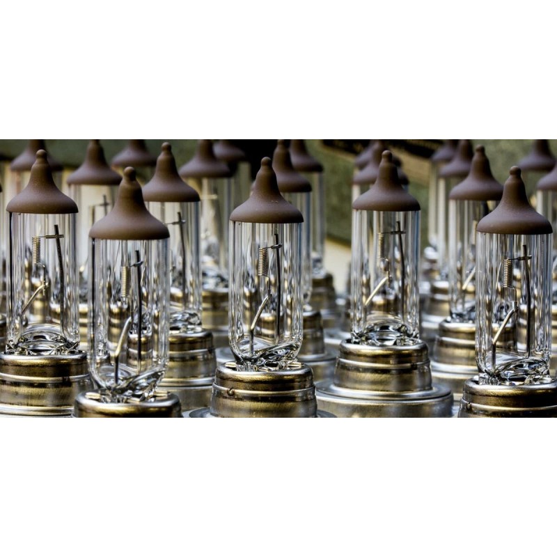 Vosla 10x- Vosla H11 Bulb Lamps Made In Germany PGJ19-2