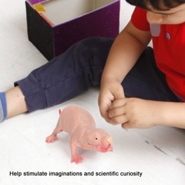 VBESTLIFE Plastic Mole Figure, Plastic Mole Figure, Toy Simulation, Static Full Core, Naked Mole, Model for Sand Table Ornaments