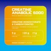 USN USN Creatine Anabolic 5000 C All-in-One Muscle Growth &
