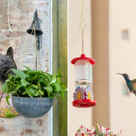 RIFNY Gold Chain for Hanging Plants, 20 Inch Small Plant Chains for Hanging Baskets Kits with Hooks for Bird Feeders Planters Billboards Lanterns Wind Chimes Ornaments Outdoor Indoor Use (10 PCS)