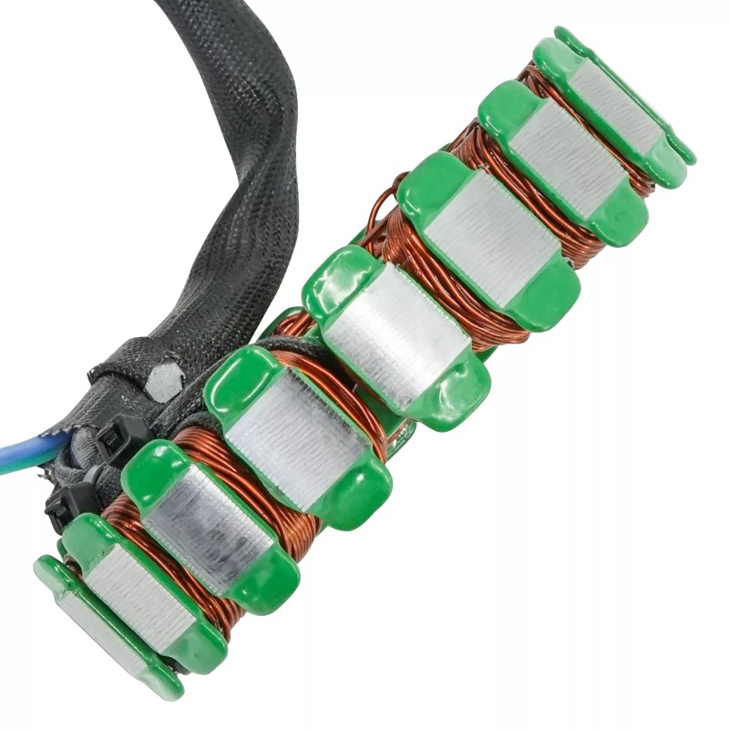 Caltric Stator For Suzuki DR-Z400E 2000-2007 DR-Z400S DR-Z400Sm 2005-2024