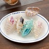 New Summer Soft Shark Claw Clip for Ponytails, Unique Style Cute Blue 9cm - Peppia Direct Deal 10ea