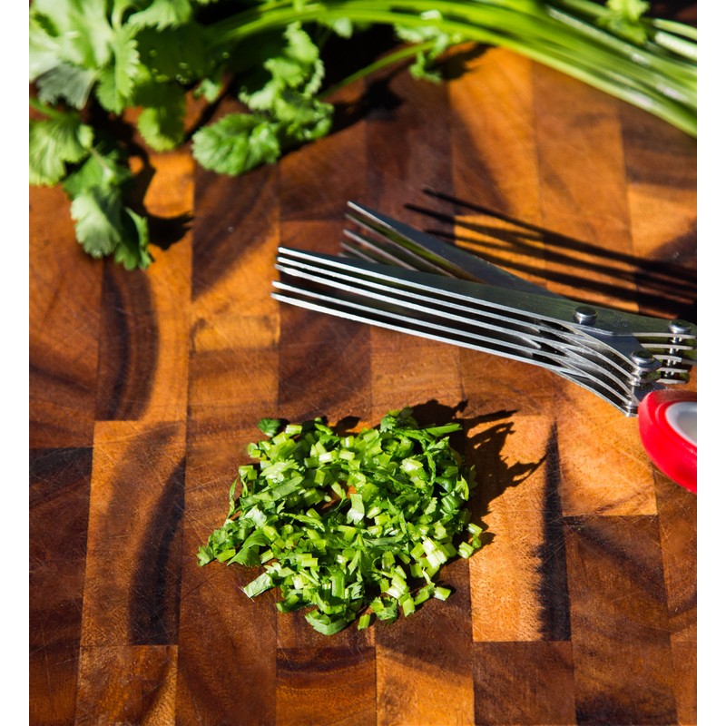 Red Herb Scissors For Cutting Onions, Chives & Rosemary. The