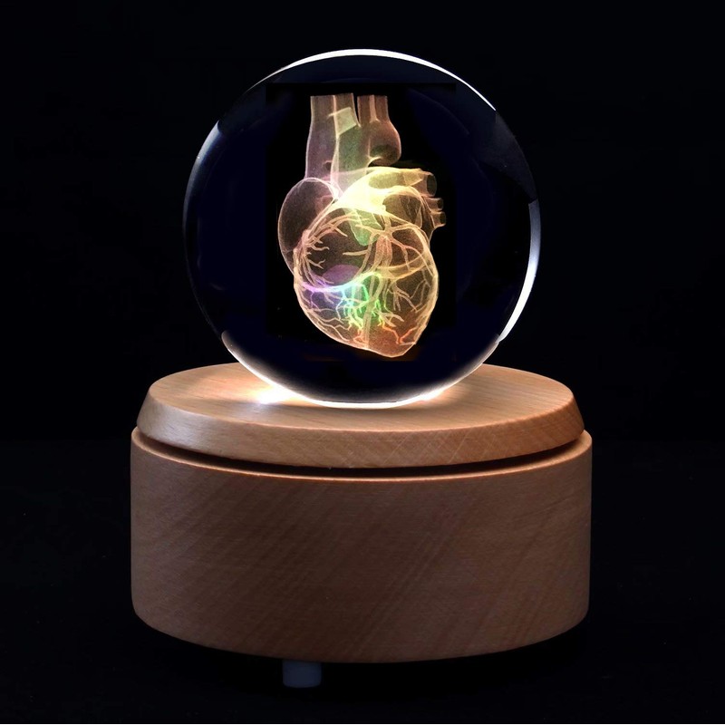 XINDAM 3D Human Heart Anatomical Model Paperweight(Laser Etched) in Crystal