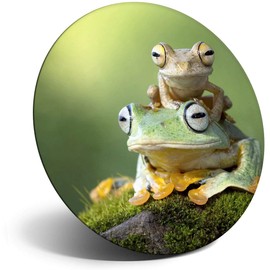 Destination Vinyl ltd Magnet for Refrigerator, Fridge - Cute Green Tree Frog Baby for Office, Cabinet and Whiteboard, Magnetic Stickers, 2764