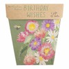 Sow 'n Sow - A Gift Of Seeds - Birthday
