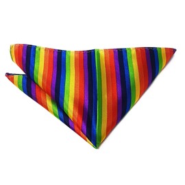 WS UK 11x11cm Pocket Square [Rainbow]