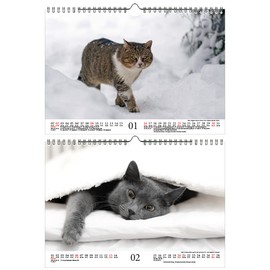 Katzenzauber DIN A4 Calendar for 2022 Cats and Cats Seelenzauber