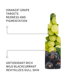 Antipodes Apostle Sensitive Skin Renew Serum – Dermatologically Approved Serum For Sensitive Skin – Organic – Vegan – 30 ml