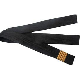 5 Dan Bar Black Belt SATIN (gold Dan Bar) 300cm For Men/Women Karate, Kickboxing, Shotokan, Shito-Ryu, Goju Ryu, All Styles Of Martial Arts Karate Black Belt Shihan Master Kenpo