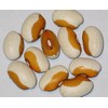 HeirloomSupplySuccess Garden Seeds 25 Heirloom Yellow Eye Beans Seeds
