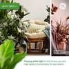 GE Grow Lights for Indoor Plants, BR30 Indoor Floodlight, LED