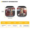 Renewold 2pcs Sunshade for Car Windshield Reflective Blocks Heat Sunlight